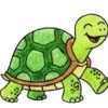 Myrtle the Turtle